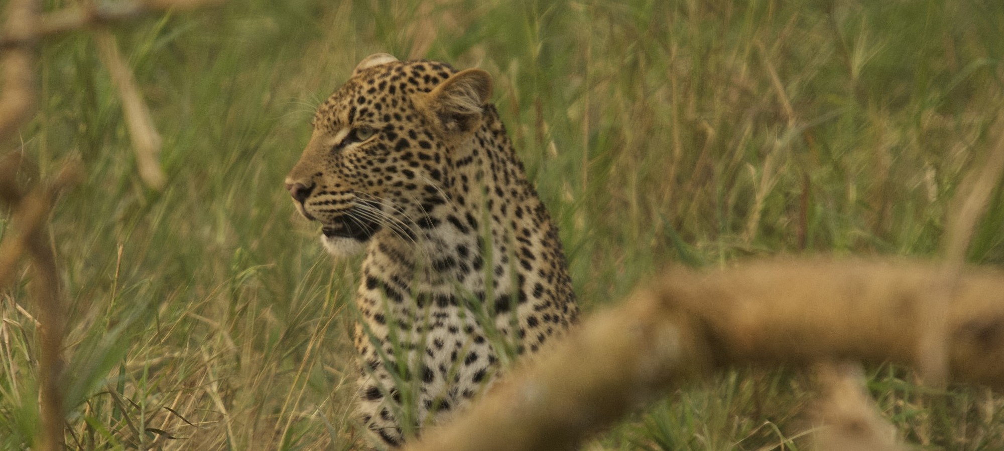 akagera national park