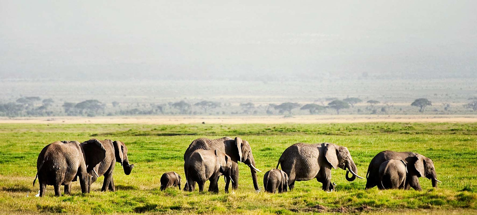 amboseli national park