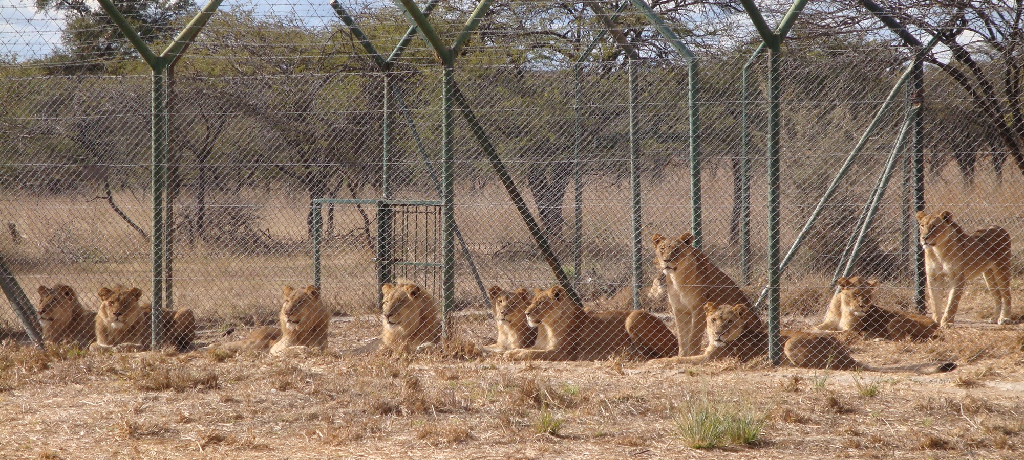 antelope reserve park