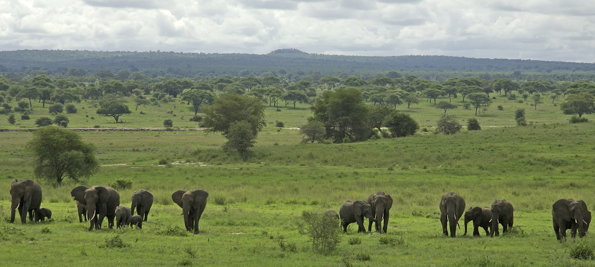 arusha national park