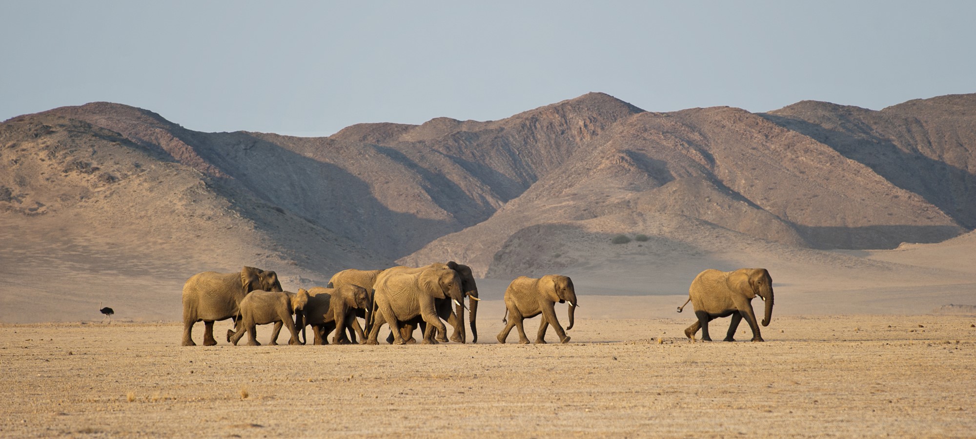 damaraland