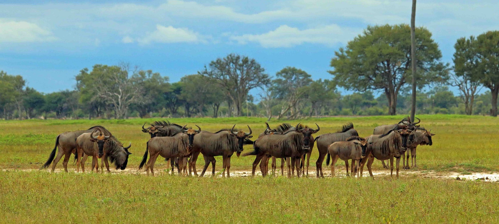 hangwe national park