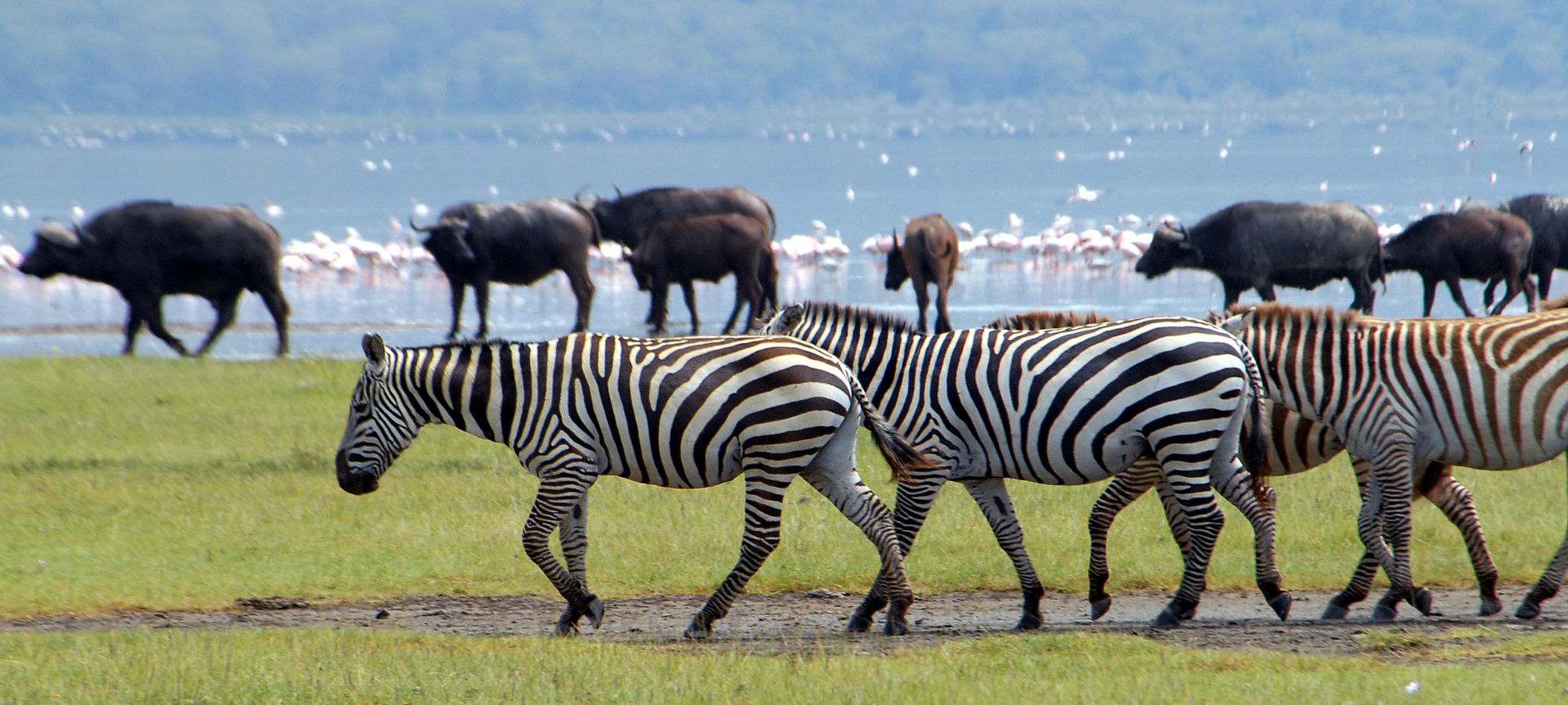 lake nakuru national park