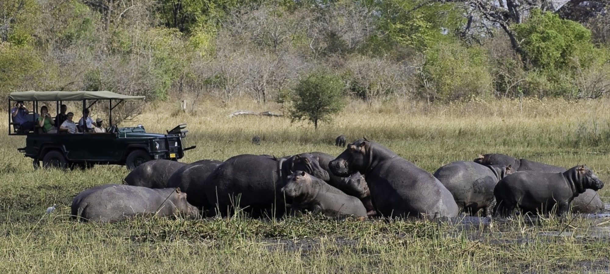 liwonde national park