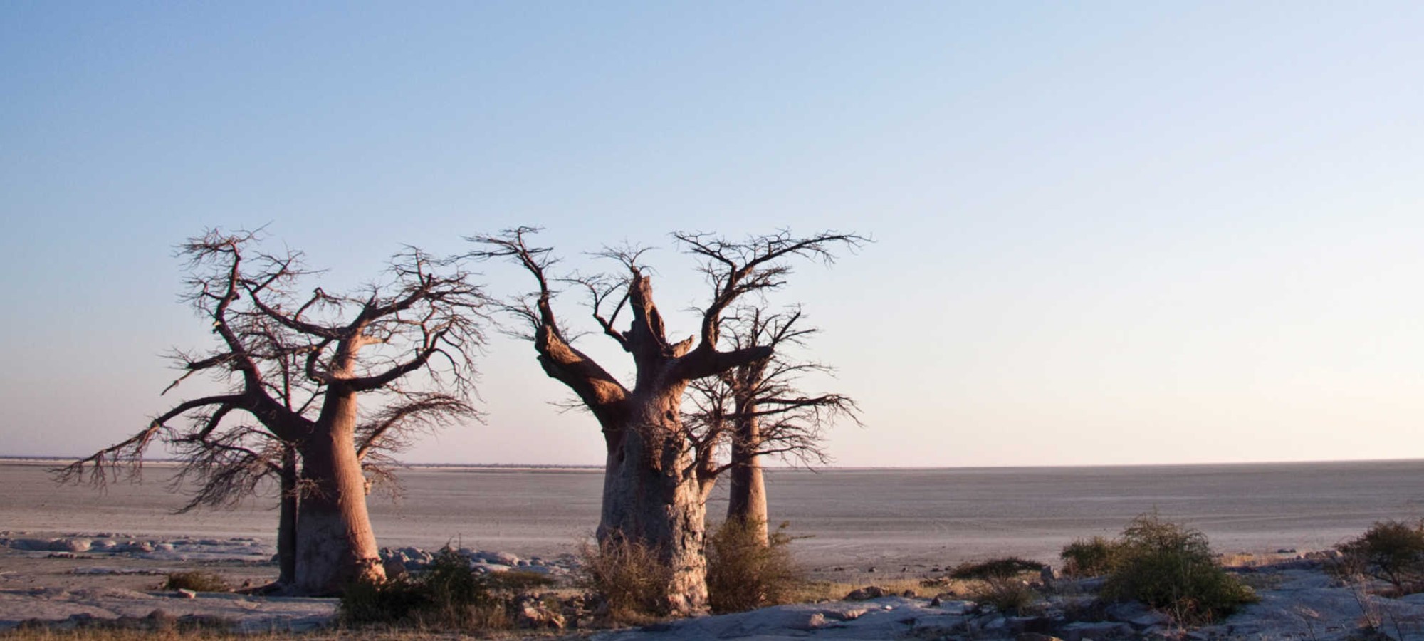 makgadikgadi pans