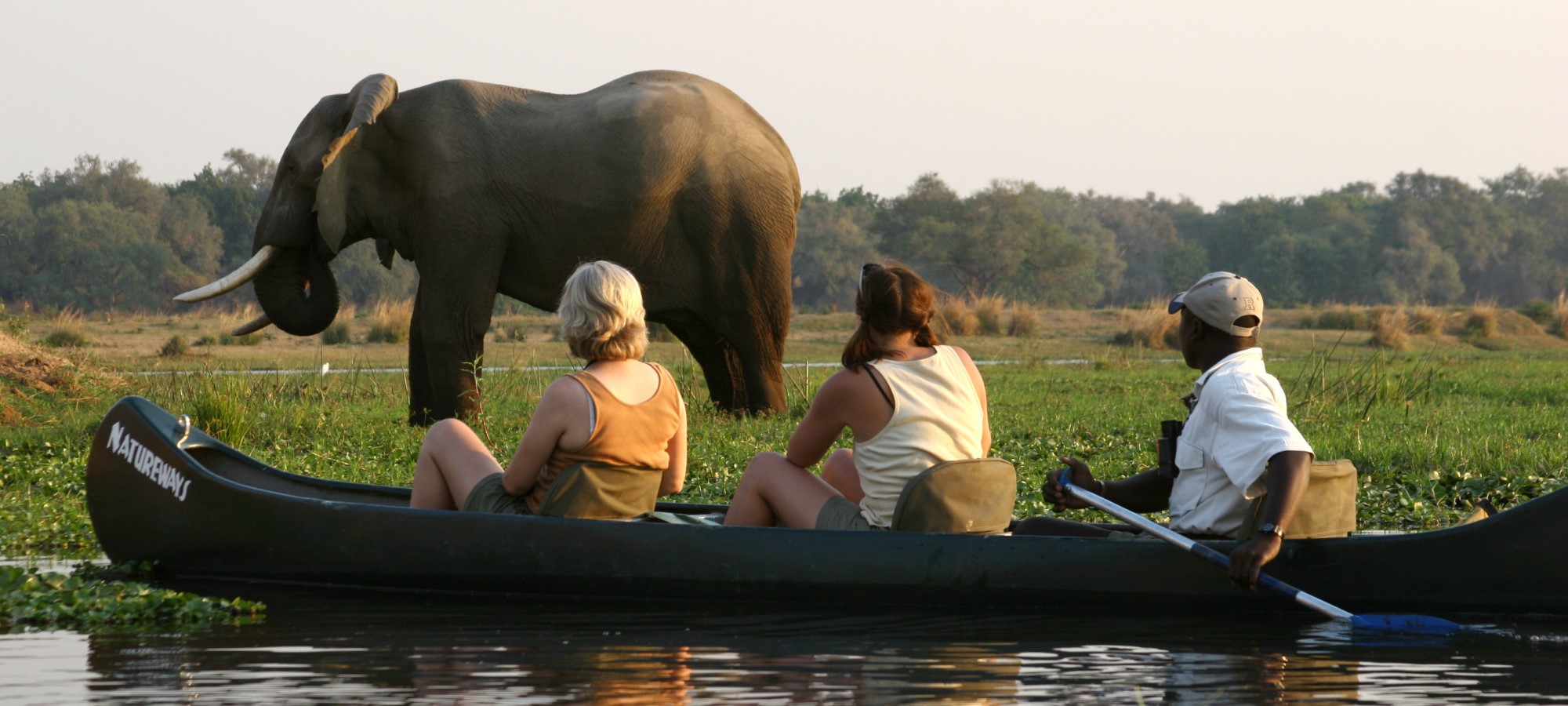 mana pools national park