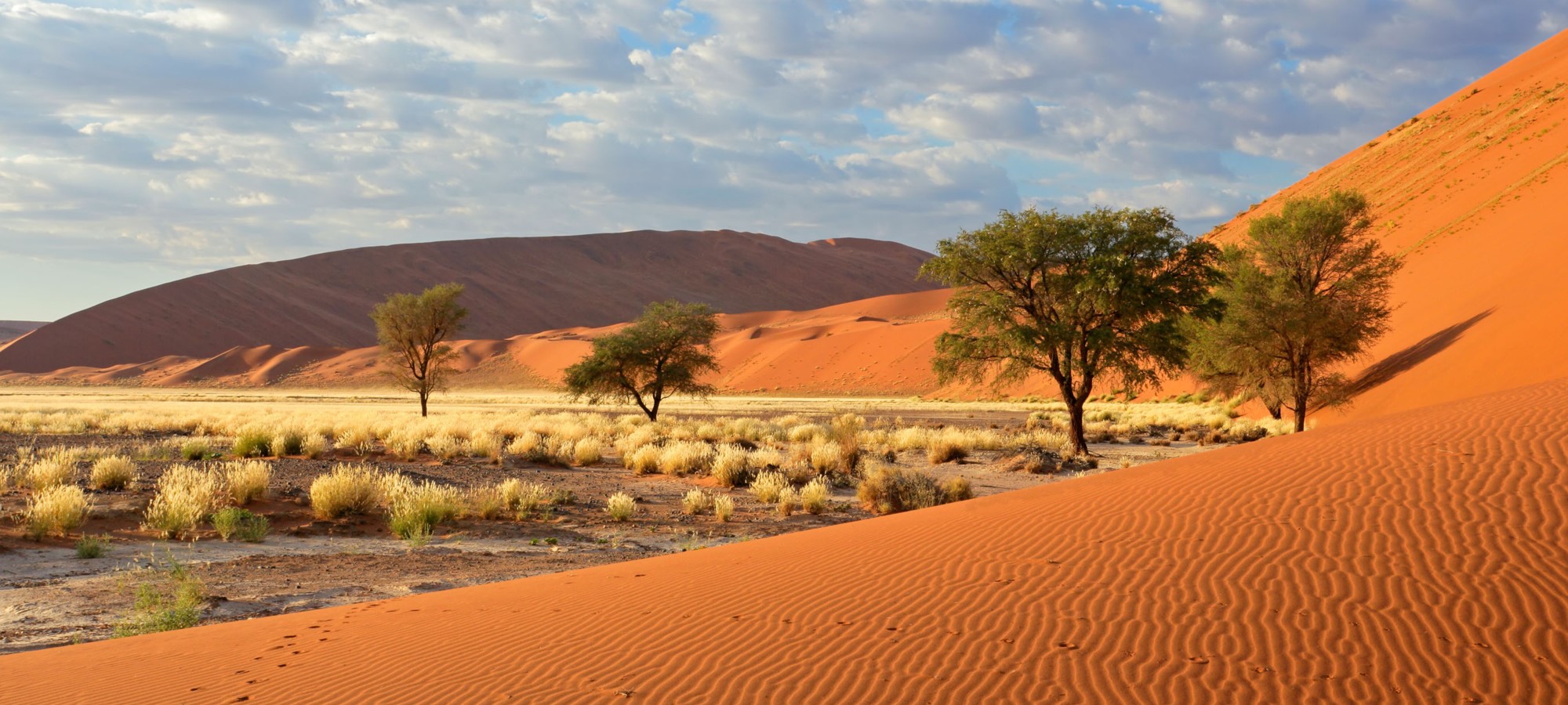 namib naukluft national park