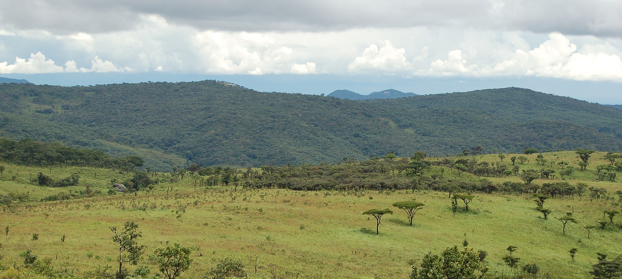 nyika national park