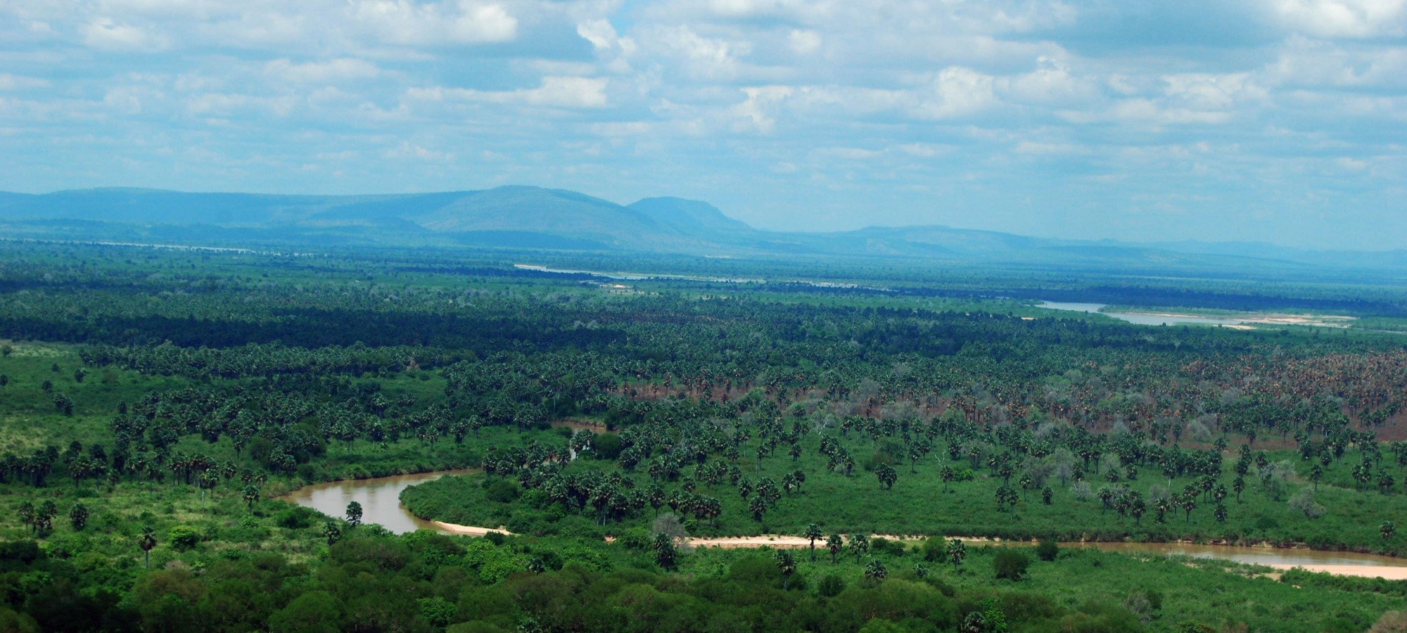 selous game reserve