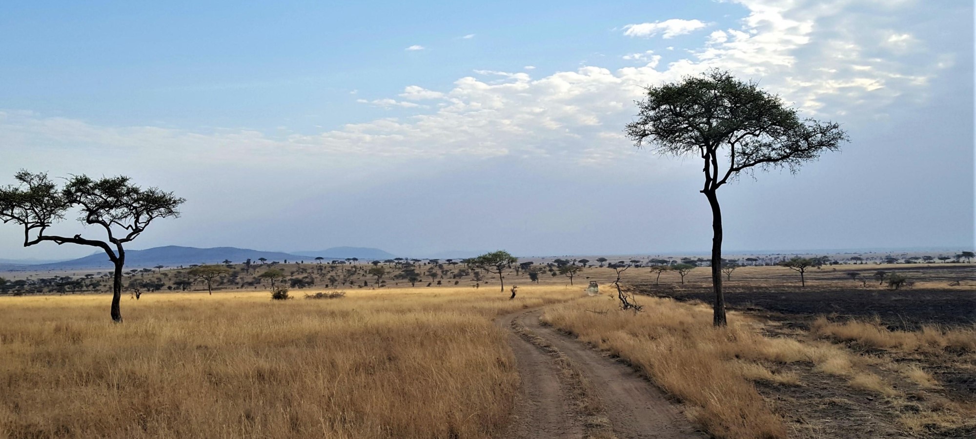 serengeti national park