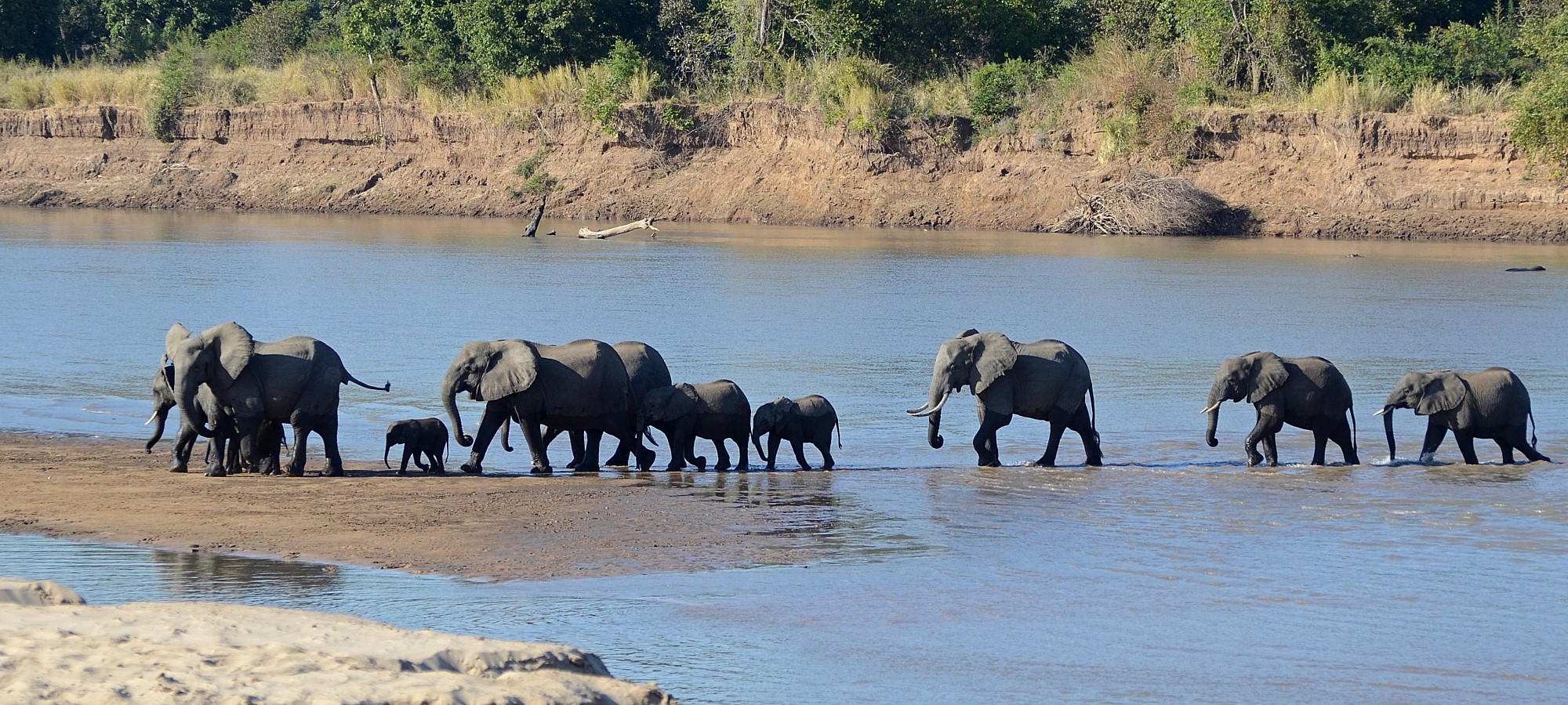 south luangwa national park